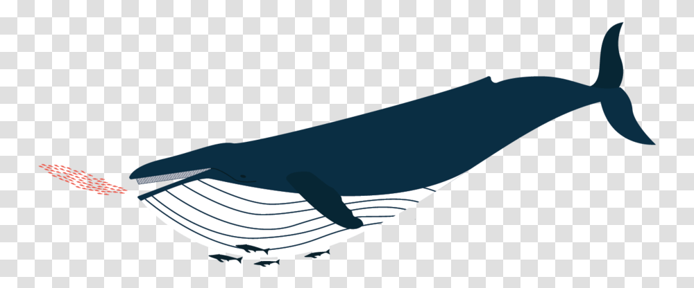 Baleen Design Clip Art, Whale, Mammal, Sea Life, Animal Transparent Png