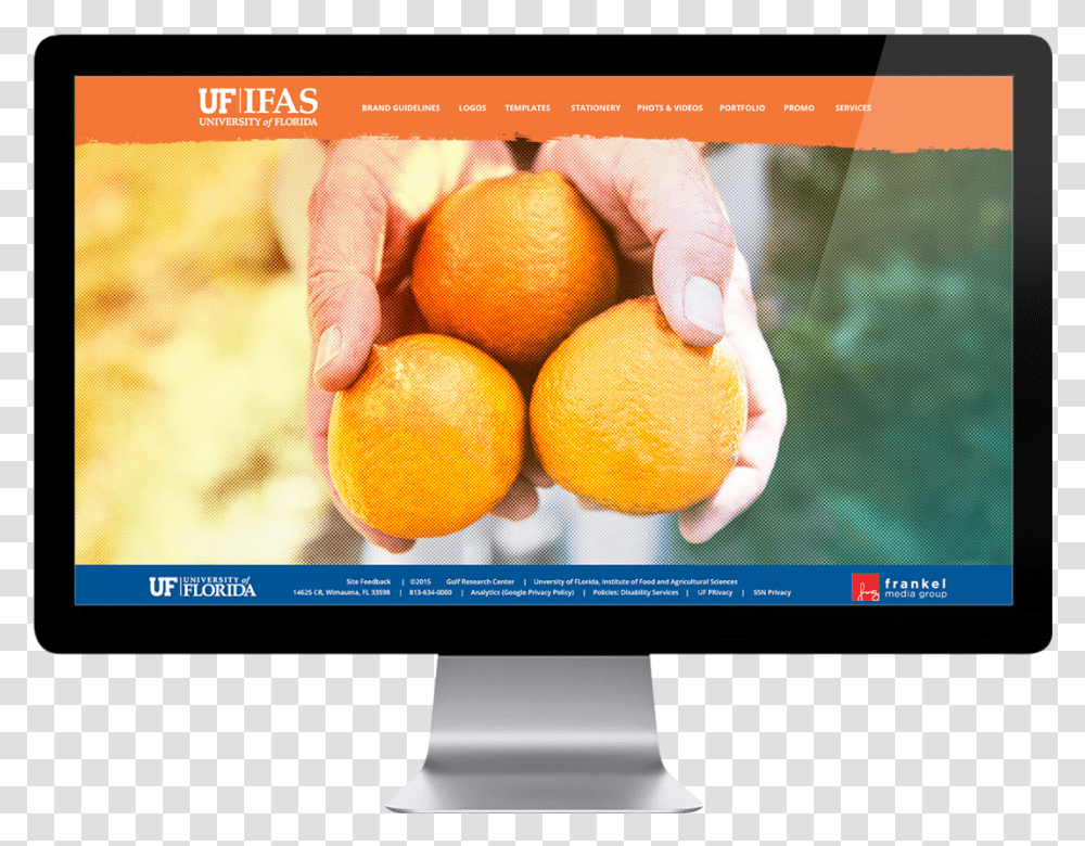 Balikesir Kiz Renci Yurdu Gamze Kiz Renci Yurdu, Grapefruit, Citrus Fruit, Produce, Food Transparent Png