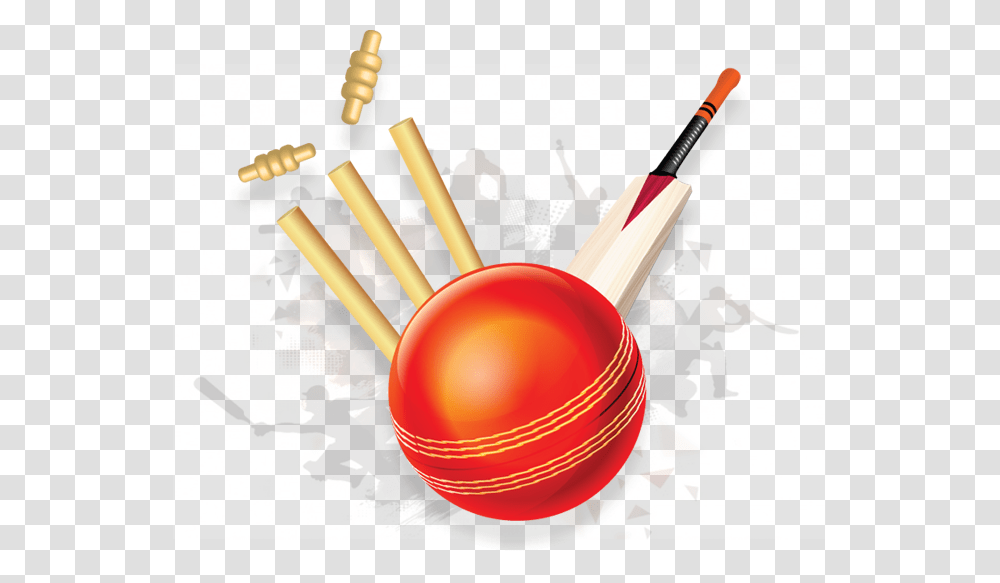Ball And Bat Ball And Bat Images, Person, Human, Sport, Sports Transparent Png