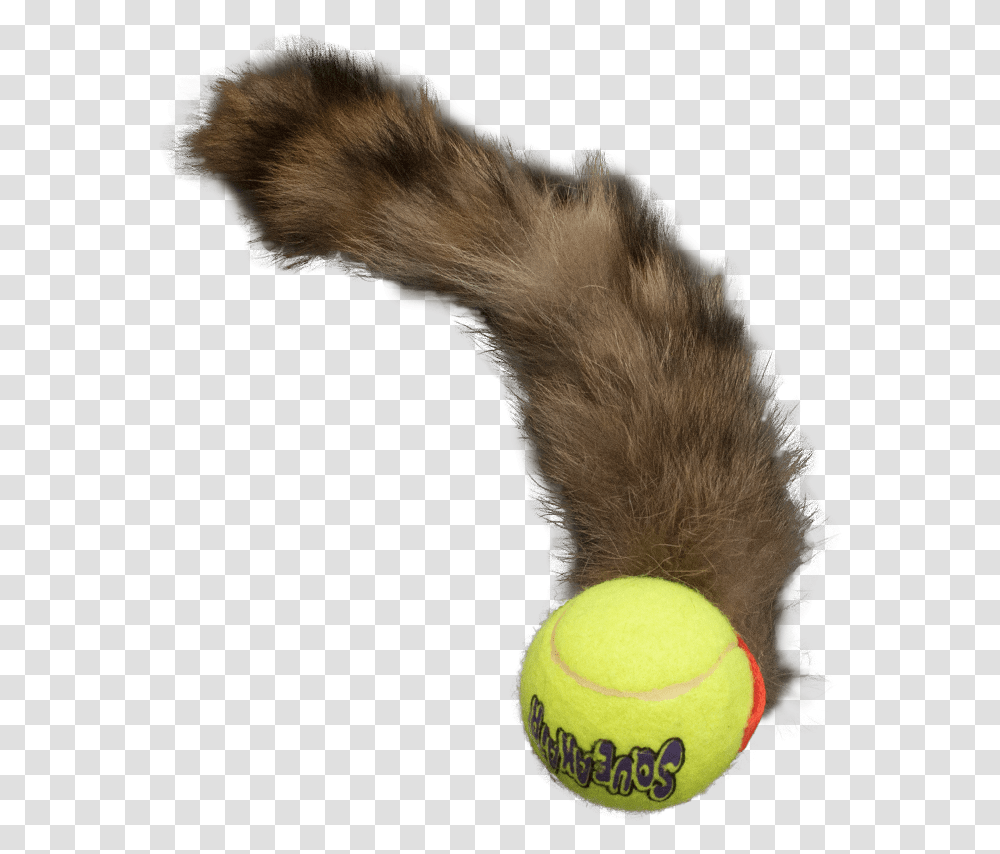 Ball And Tail Toy, Tennis Ball, Sport, Sports Transparent Png