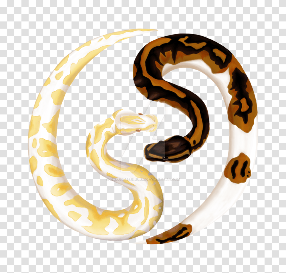 Ball Python Clipart Clip Art Images, Reptile, Animal, Snake, Anaconda Transparent Png