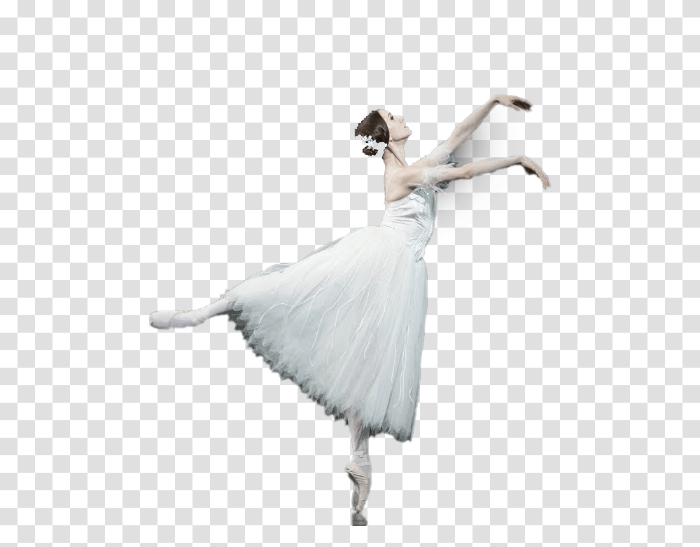 Ballet Dance Image Ballet Dancer, Person, Human, Ballerina, Bird Transparent Png