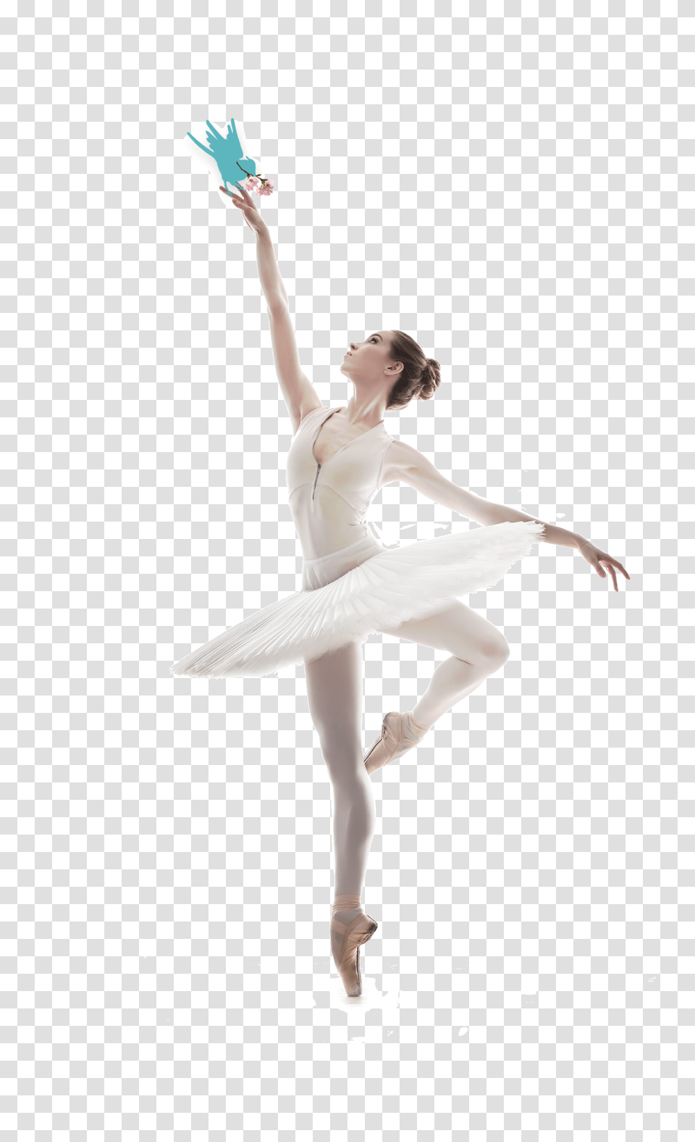 Ballet Dancer, Person, Human, Ballerina, Leisure Activities Transparent Png