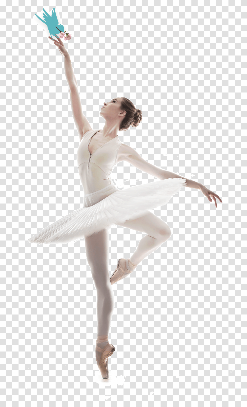 Ballet Dancer Picture Classique Photo De Danse, Person, Human, Ballerina Transparent Png