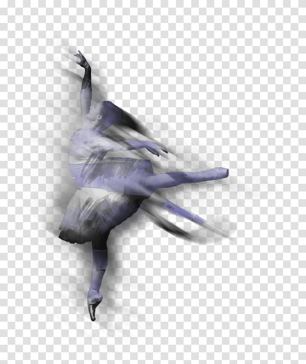 Ballet Final Grumman F 14 Tomcat, Bird, Animal, Dance Transparent Png