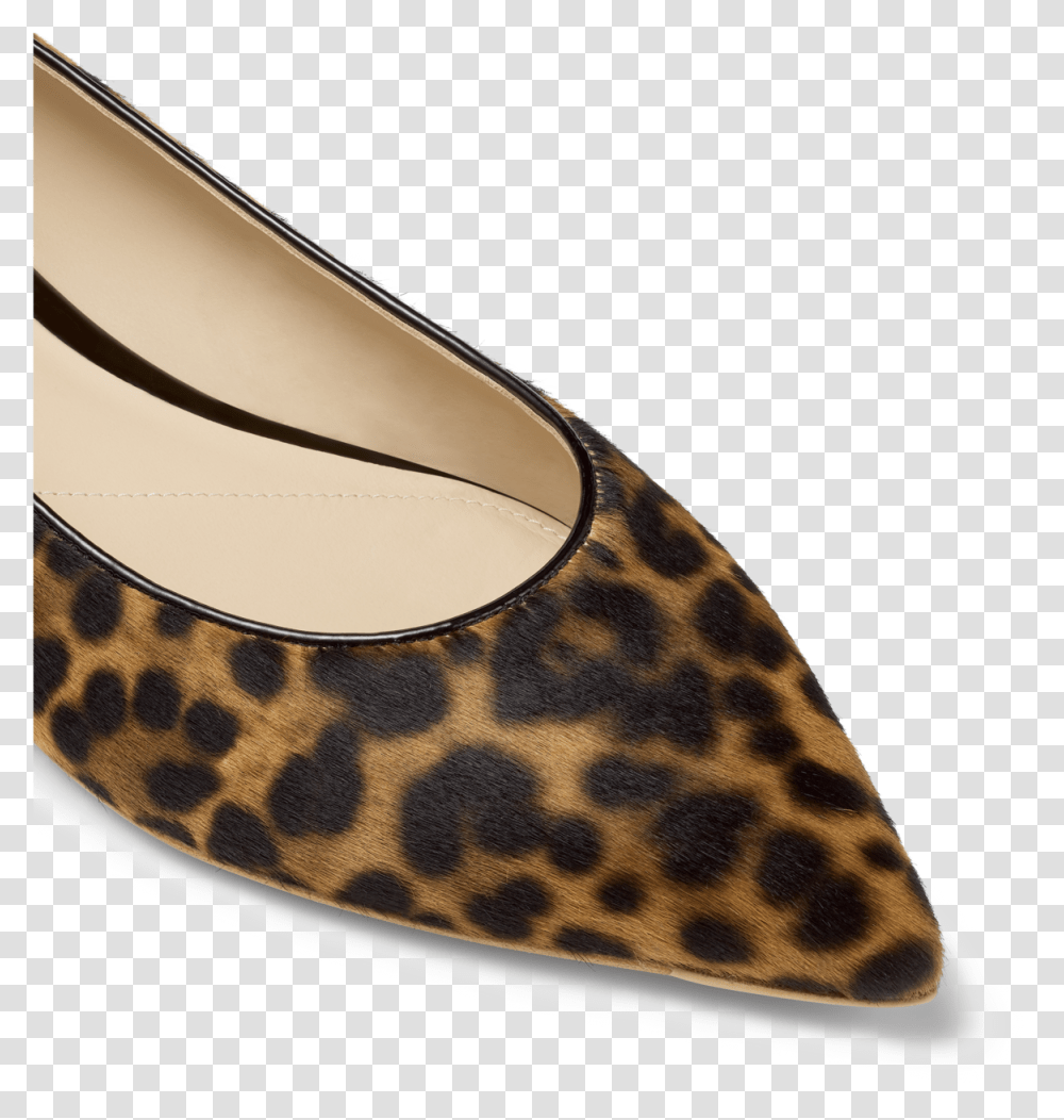 Ballet Flat, Apparel, Shoe, Footwear Transparent Png