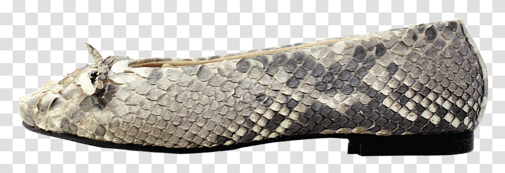 Ballet Flat, Reptile, Animal, Snake, Rattlesnake Transparent Png