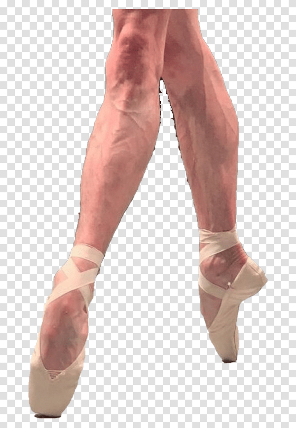 Ballet Pointe Free Image, Apparel, Person, Human Transparent Png