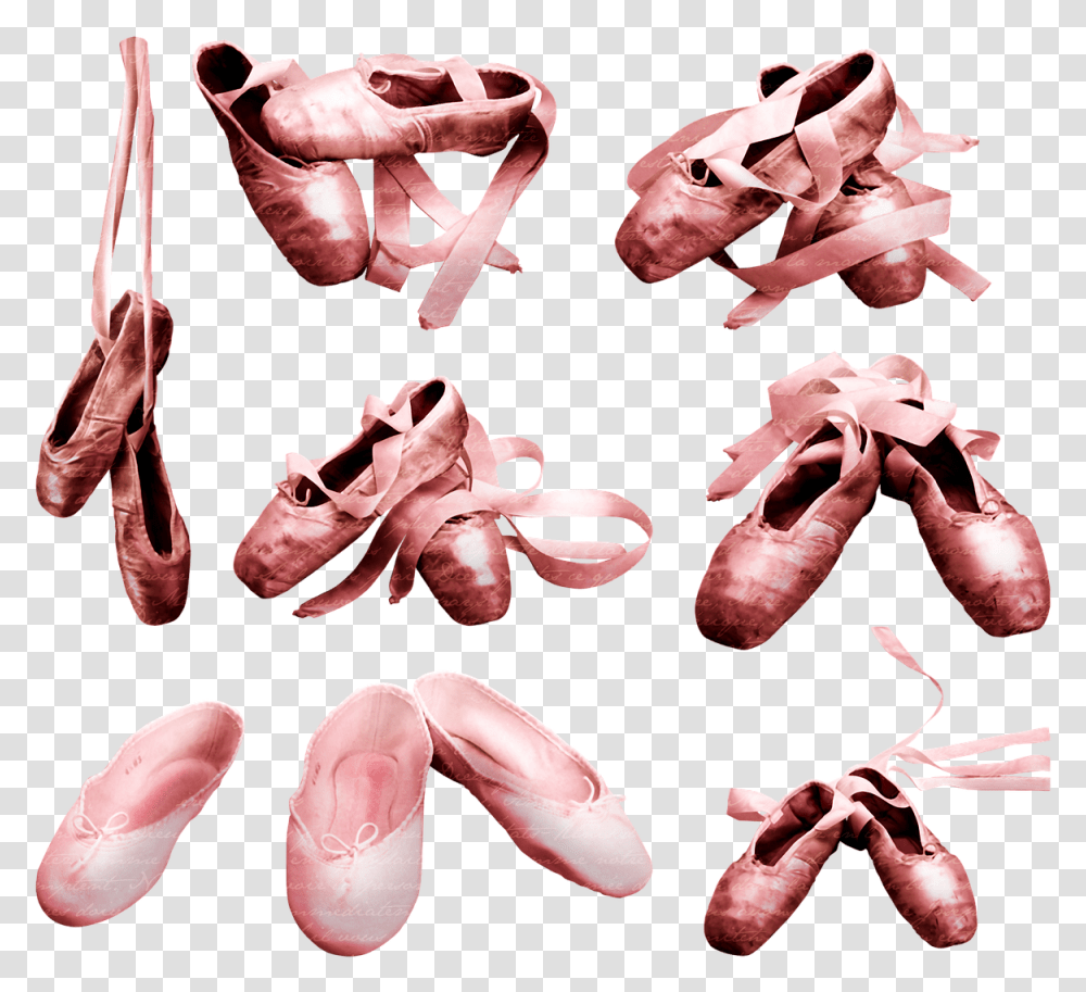 Ballet Shoes Ballet, Animal, Skin, Mouth, Lip Transparent Png