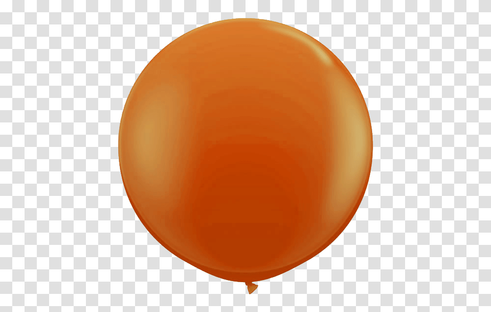 Ballon, Balloon, Sphere, Food, Plant Transparent Png