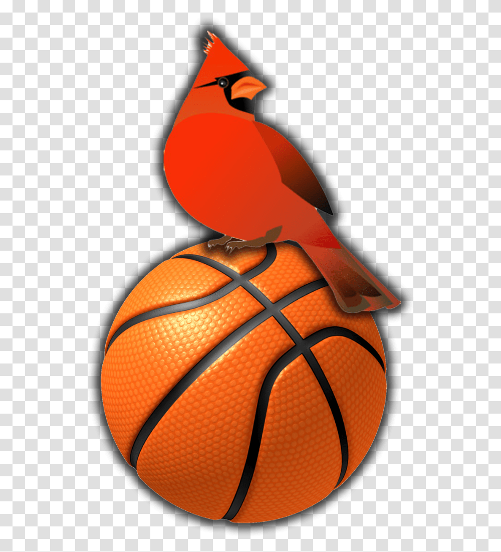 Ballon De Basket Ball, Lamp, Bird, Animal Transparent Png