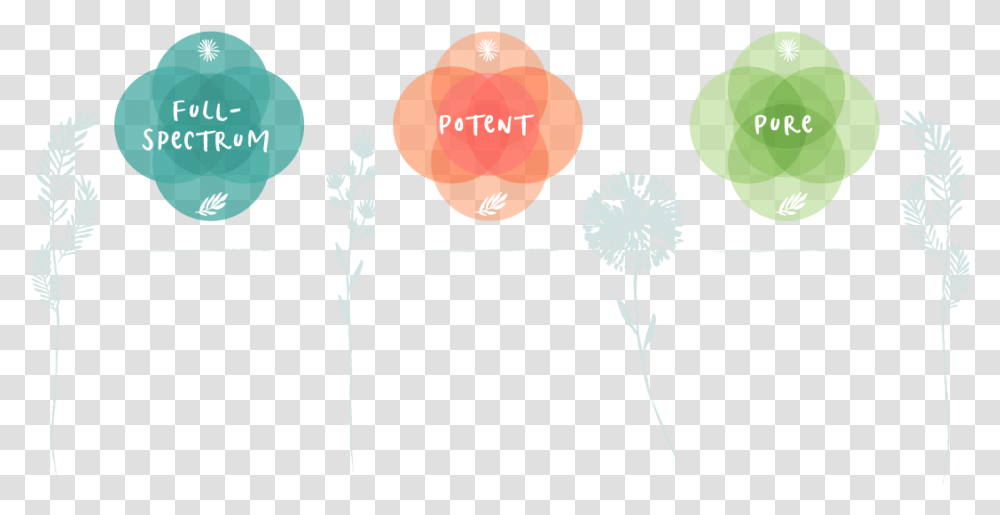 Balloon, Plant, Flower, Blossom, Dandelion Transparent Png