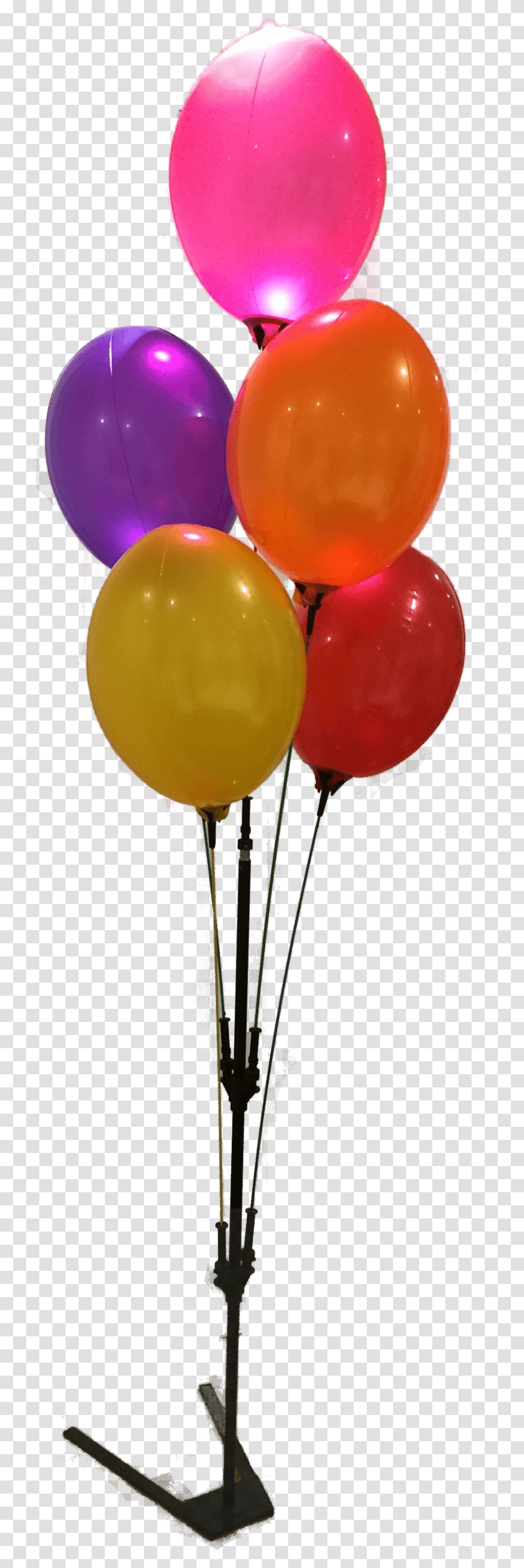 Balloon, Plant Transparent Png