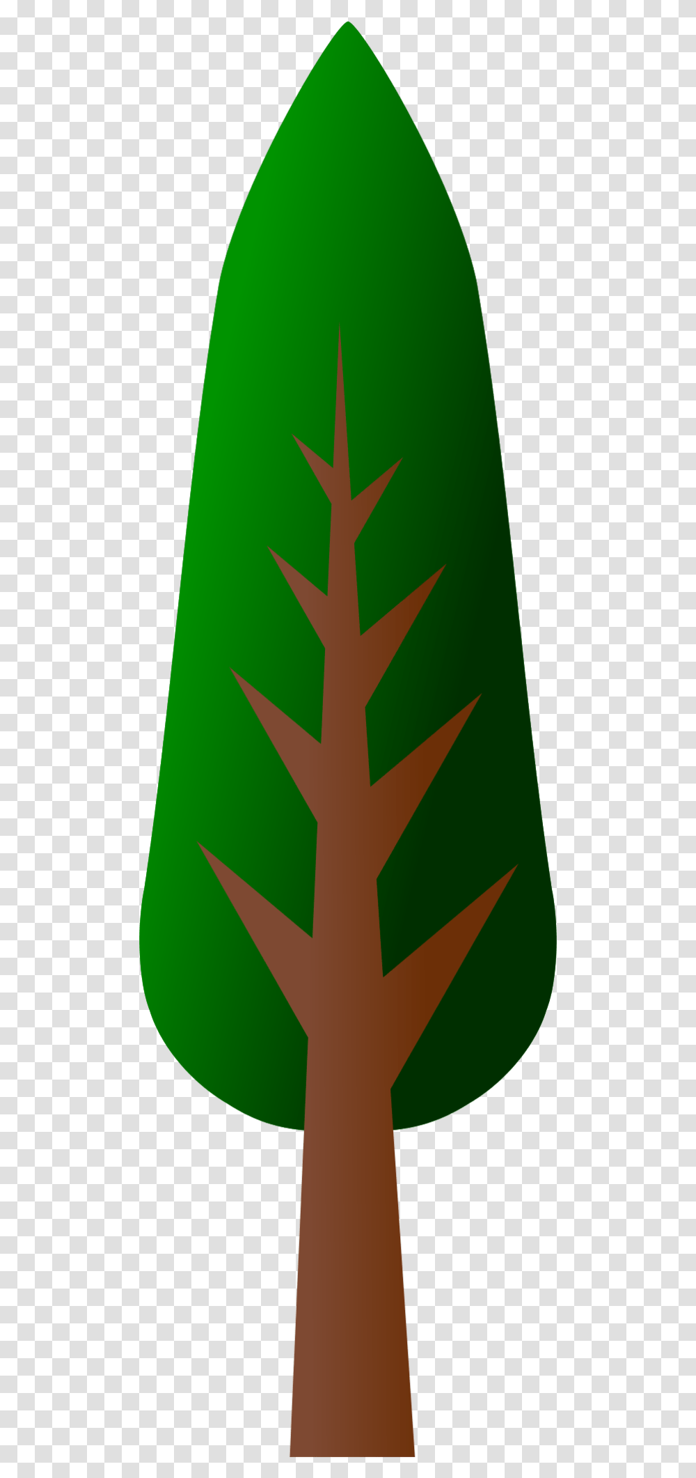 Balm Clipart, Plant, Tree, Fir Transparent Png