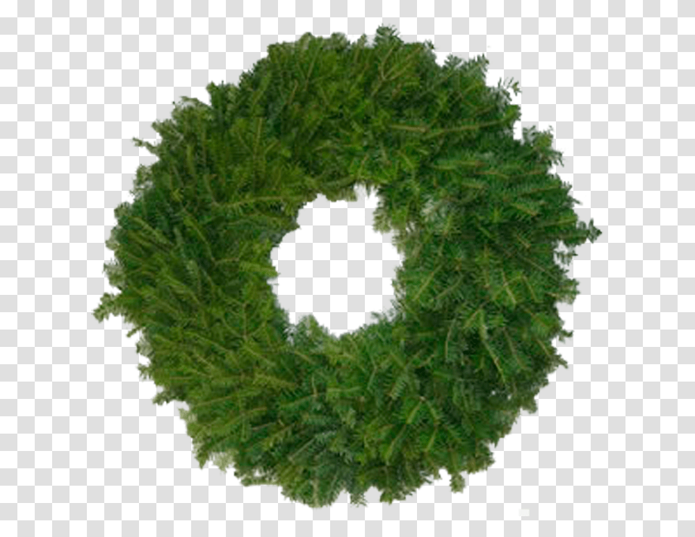 Balsam Wreaths Nyc Tree Shop Wreath, Plant, Green, Hole, Bush Transparent Png