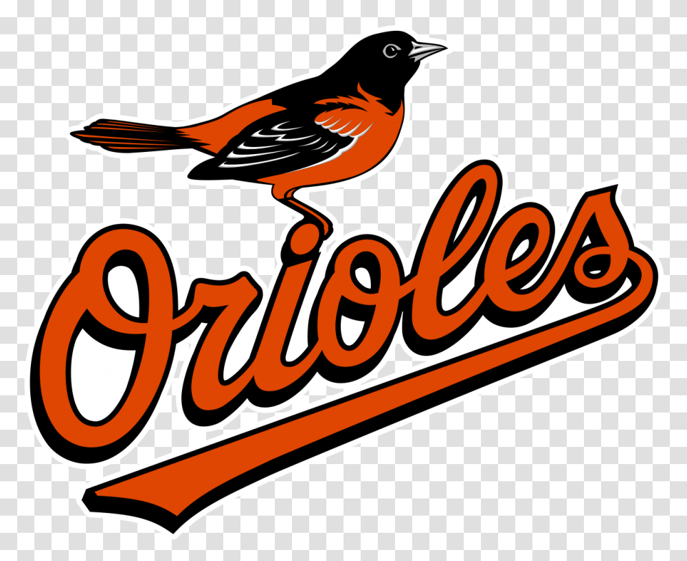 Baltimore Orioles, Dynamite, Bomb, Weapon, Weaponry Transparent Png
