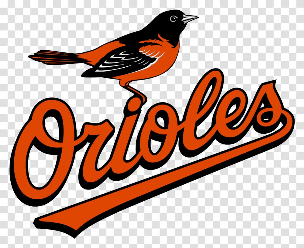 Baltimore Orioles Logo And Symbol Baltimore Orioles Logo, Bird, Animal, Text, Trademark Transparent Png