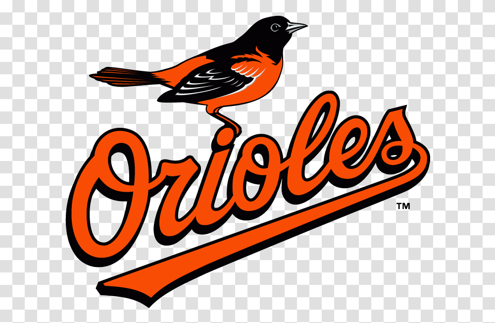 Baltimore Orioles Logo Baltimore Orioles Logo, Bird, Animal, Robin Transparent Png