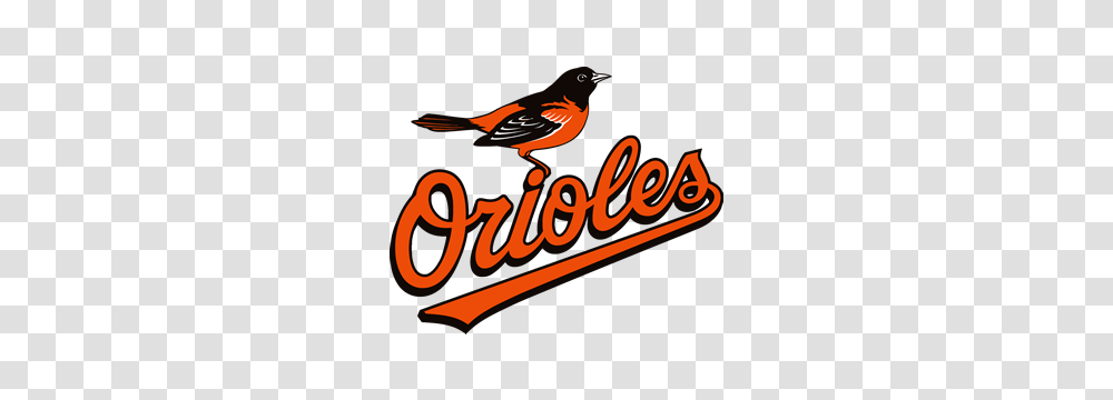 Baltimore Orioles Vs Houston Astros Odds Stats, Bird, Animal, Robin, Dynamite Transparent Png