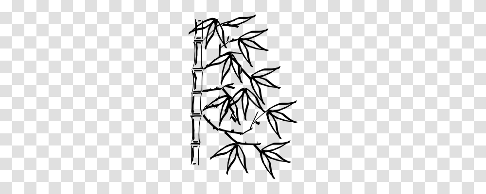 Bamboo Nature, Gray, World Of Warcraft Transparent Png