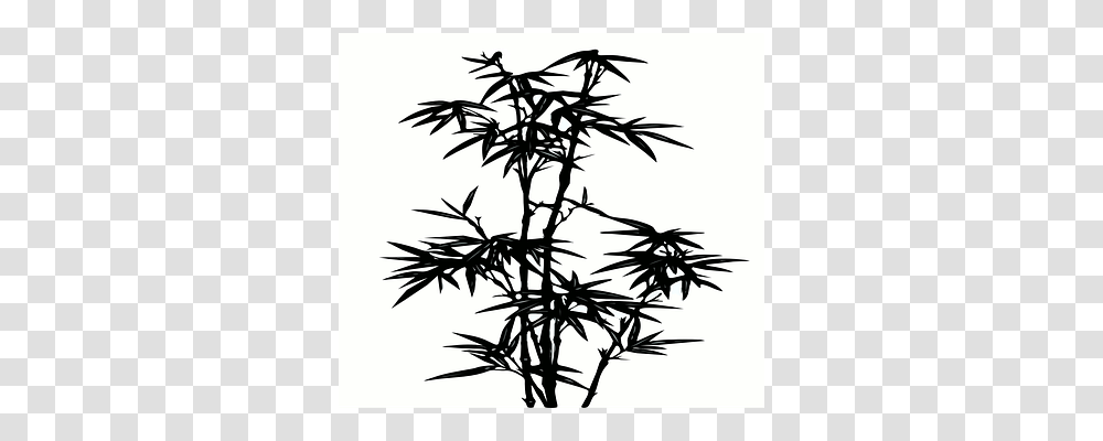 Bamboo Plant, Tree, Stencil, Silhouette Transparent Png