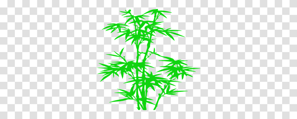 Bamboo Nature, Plant, Flower, Blossom Transparent Png
