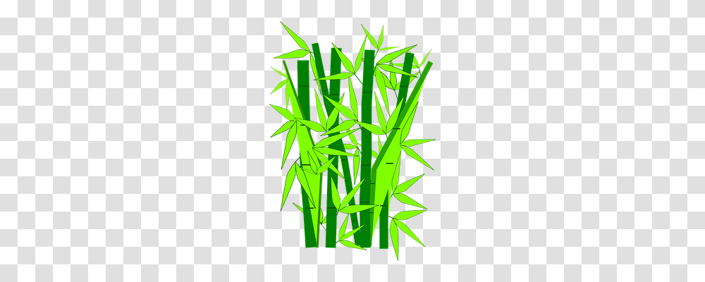 Bamboo Nature, Plant, Grass Transparent Png