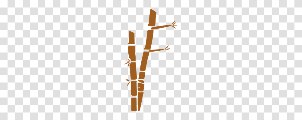 Bamboo Nature, Leisure Activities, Bagpipe, Musical Instrument Transparent Png