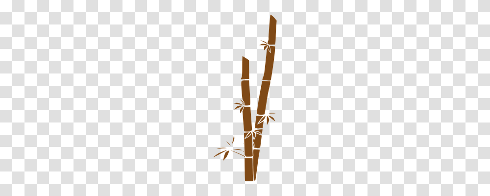 Bamboo Nature, Leisure Activities, Musical Instrument, Bagpipe Transparent Png