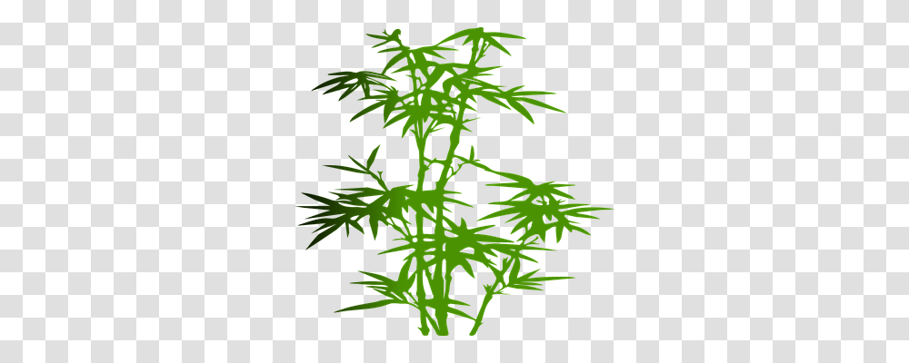 Bamboo Nature, Plant, Hemp, Weed Transparent Png