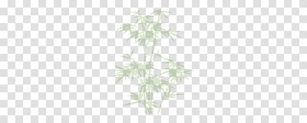 Bamboo Nature, Plant, Hemp, Flower Transparent Png