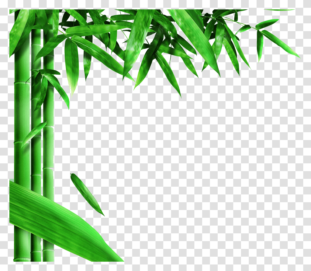 Bamboo Background Clipart Transparent Png