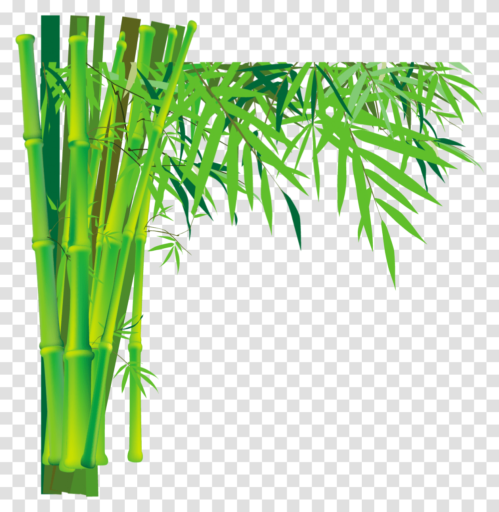 Bamboo Bamboo Background, Plant, Bamboo Shoot, Vegetable, Produce Transparent Png