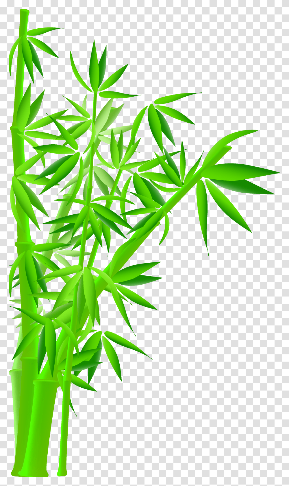 Bamboo Bamboo Tree Hd Photo, Plant, Pineapple, Fruit, Food Transparent Png