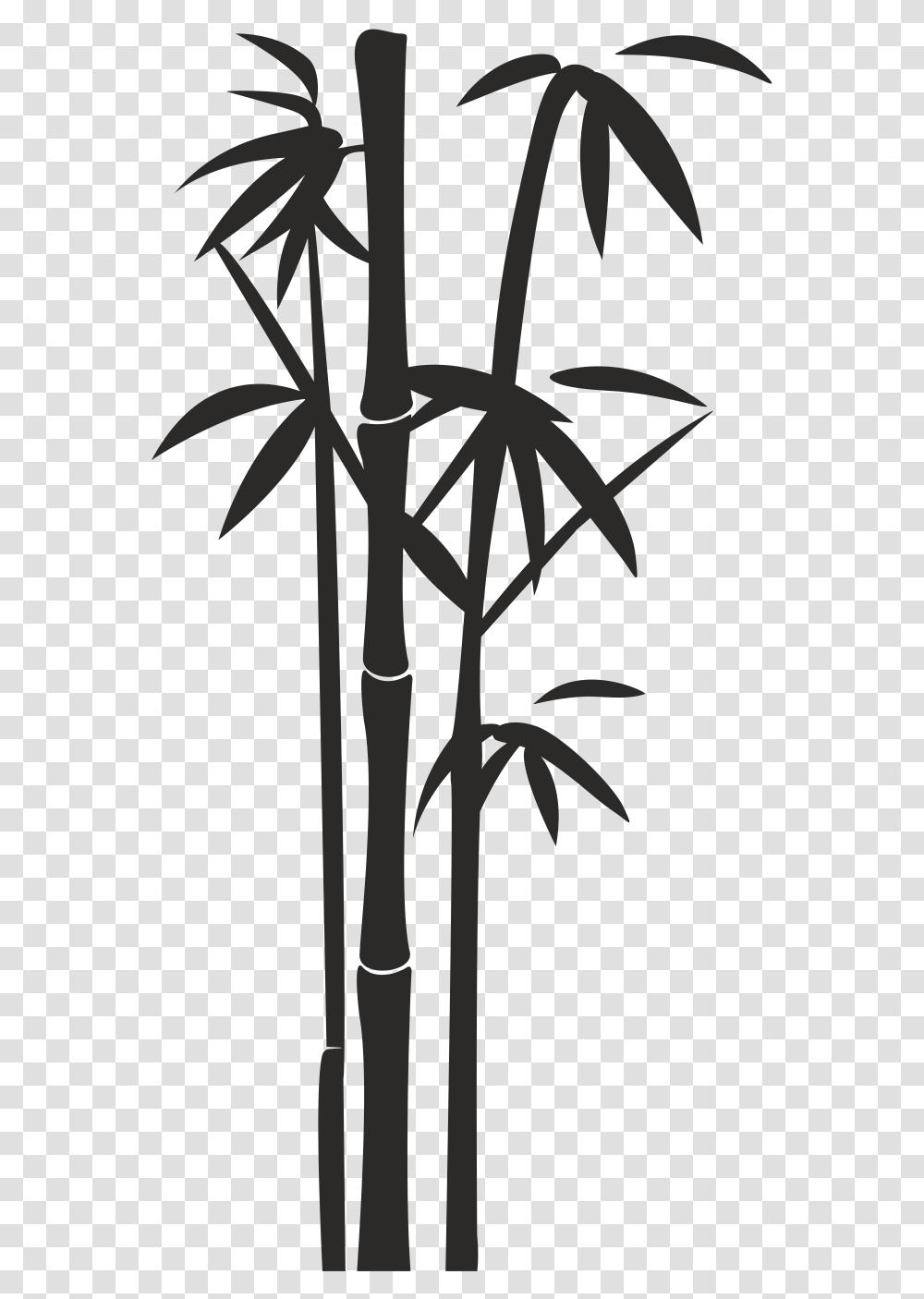 Bamboo Black And White, Plant, Tree, Palm Tree, Arecaceae Transparent Png