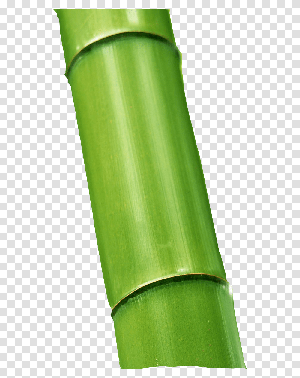 Bamboo Buluh, Plant, Cylinder Transparent Png