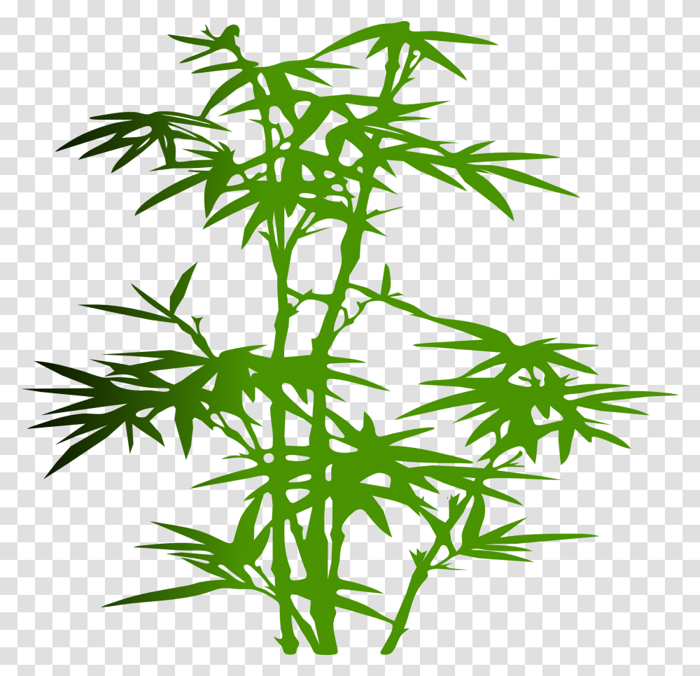 Bamboo Cartoon, Plant, Dill, Seasoning, Food Transparent Png