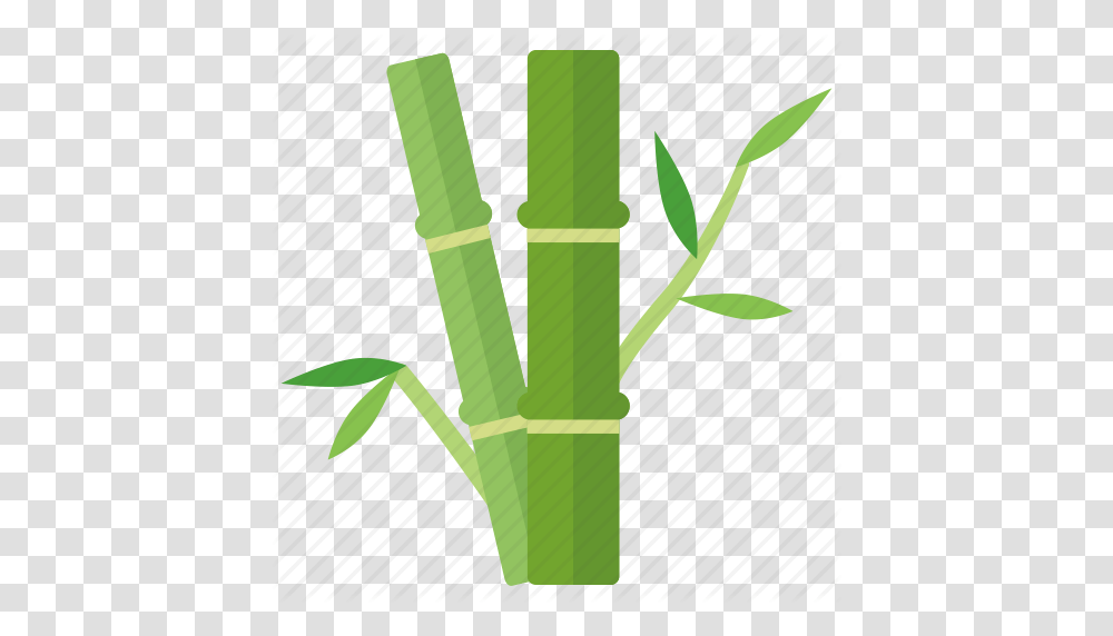 Bamboo China Forest Panda Shoots Tree Icon, Plant, Bamboo Shoot, Vegetable, Produce Transparent Png