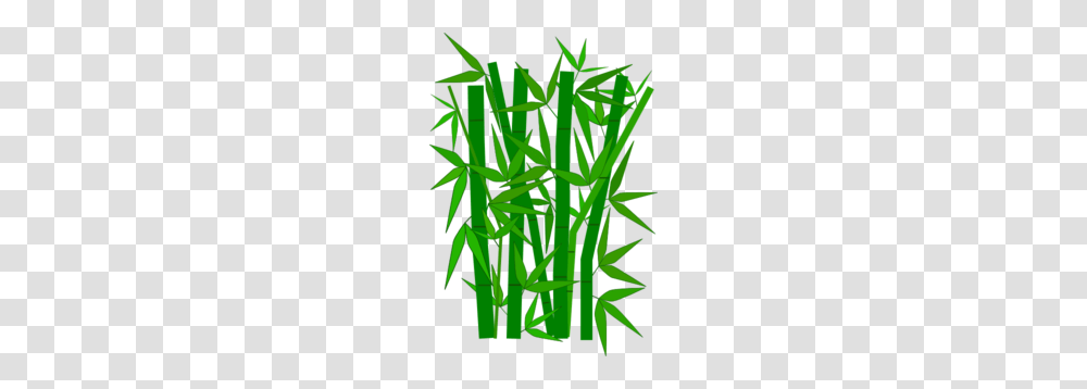 Bamboo Clip Art, Plant, Grass, Lawn, Vegetation Transparent Png