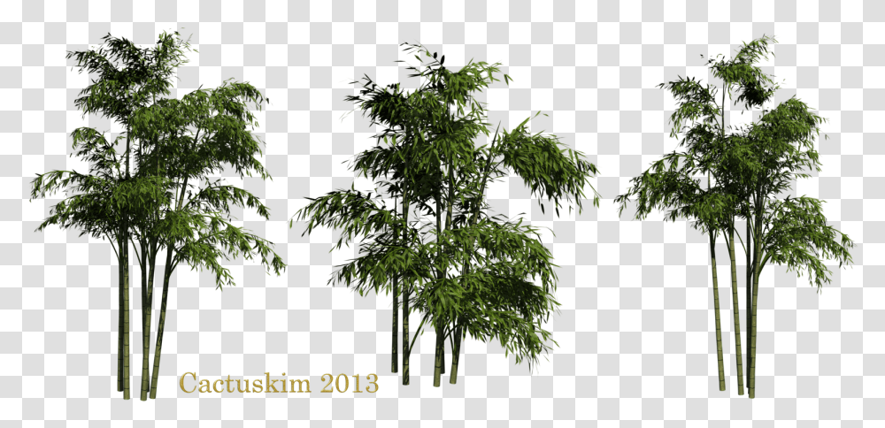 Bamboo Clipart Bamboo Trees, Plant, Potted Plant, Vase, Jar Transparent Png