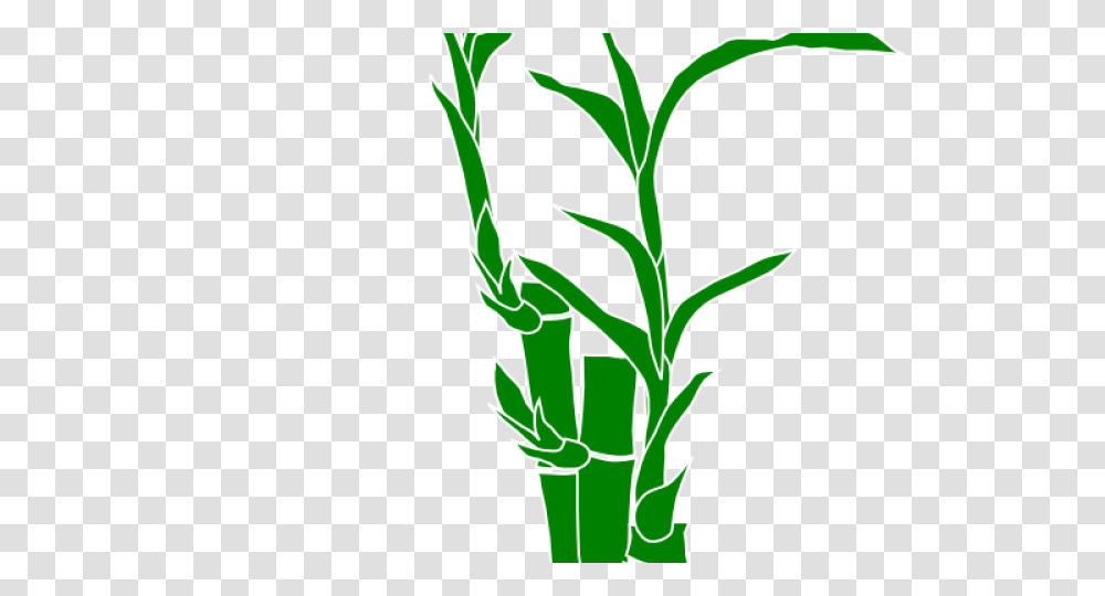 Bamboo Clipart Border, Plant, Produce, Food, Vegetable Transparent Png