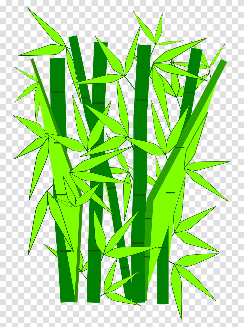 Bamboo Clipart Clipart Of Bamboo, Plant, Green, Grass Transparent Png
