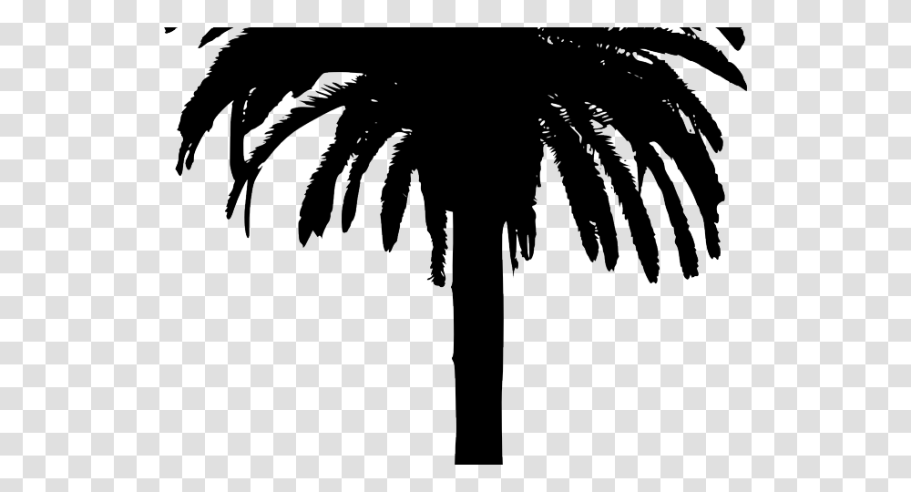 Bamboo Clipart Date Palm Tree, Nature, Outdoors, Night, Fireworks Transparent Png