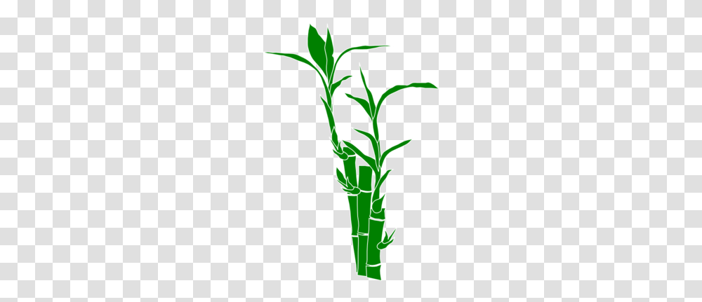 Bamboo Clipart, Plant, Food, Vegetable, Produce Transparent Png