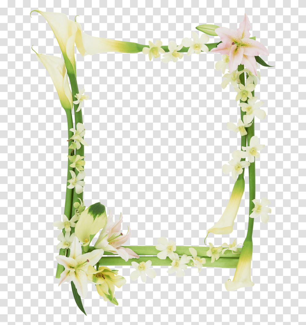 Bamboo Design Frame, Plant, Flower, Blossom, Flower Arrangement Transparent Png