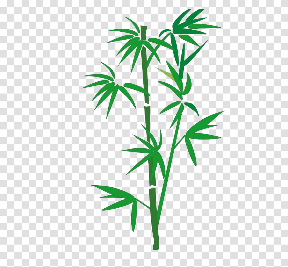Bamboo Download Bamboo Cartoon, Plant, Flower, Blossom, Leaf Transparent Png