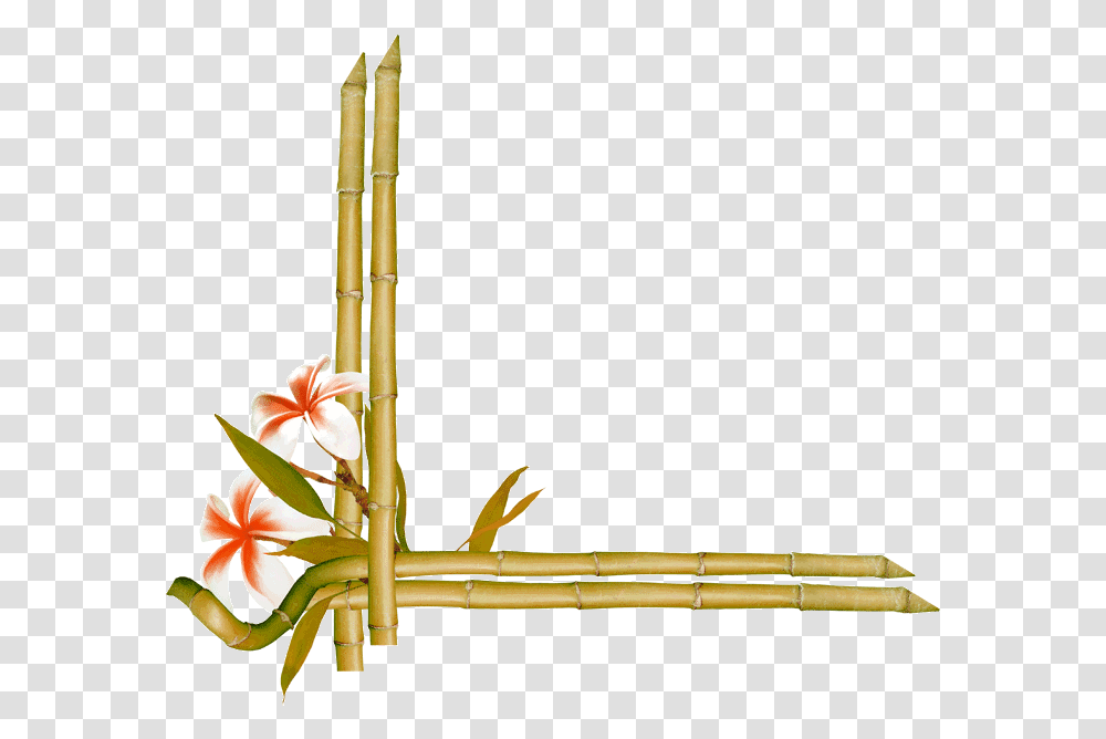 Bamboo Flower Frames And Borders Bamboo Border, Plant, Musical Instrument, Blossom, Brass Section Transparent Png