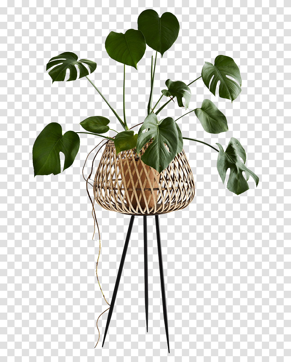 Bamboo Flower Stand Bamboo Full Size Download Seekpng Bamboo Flower Stand, Vase, Jar, Pottery, Potted Plant Transparent Png