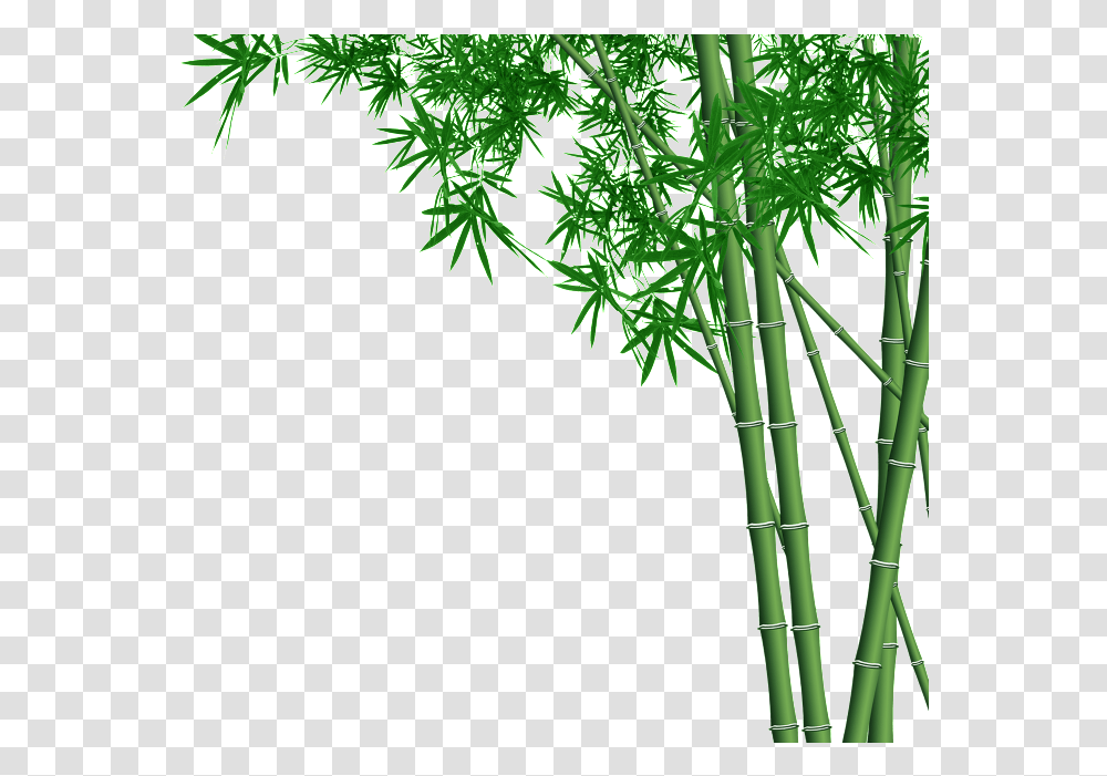Bamboo Forest Bamboo, Plant Transparent Png