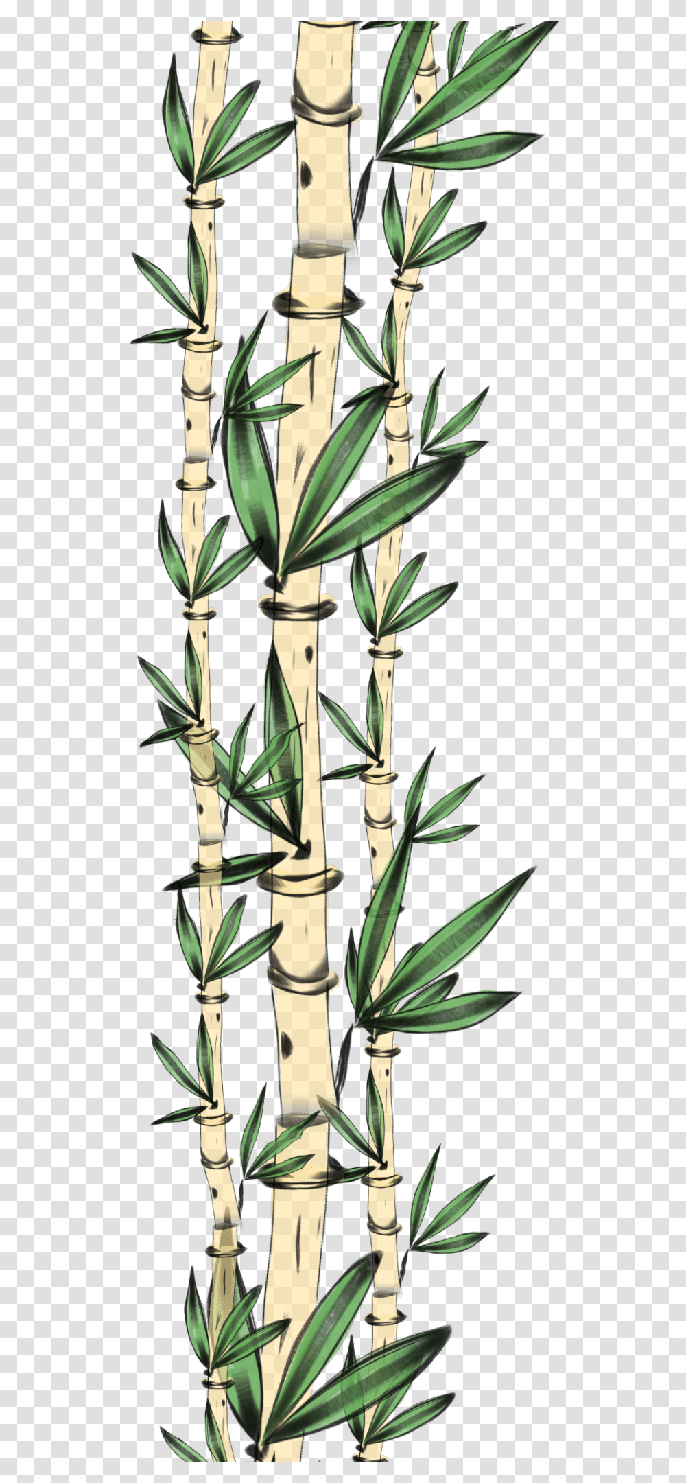 Bamboo Frame Clipart Clip Art, Plant, Pineapple, Fruit, Food Transparent Png